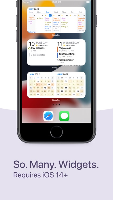 BusyCal: Calendar & Tasks screenshot 1