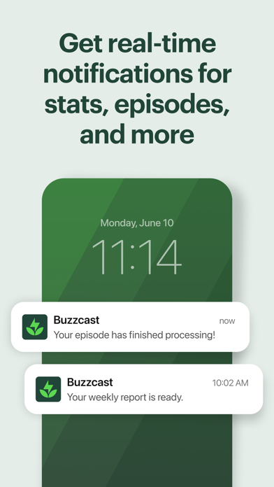 Buzzsprout screenshot 4