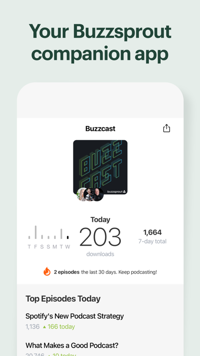 Buzzsprout screenshot 7