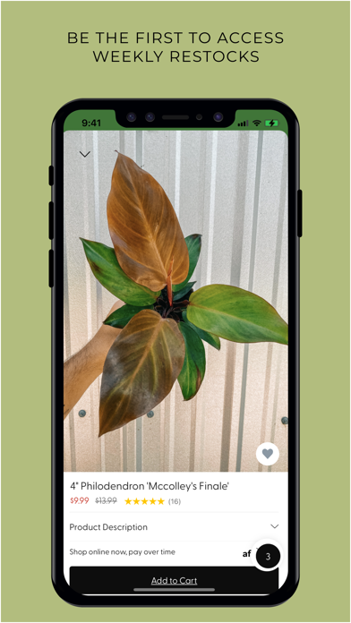 BWH Plant Co screenshot 3
