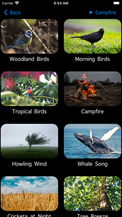 Calming Sounds screenshot 3