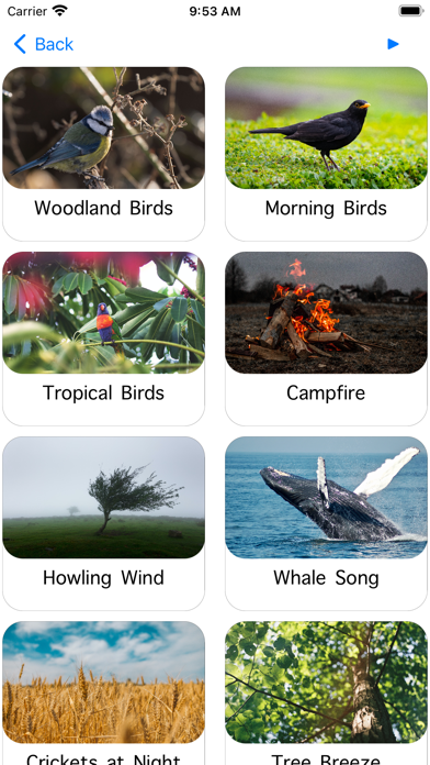 Calming Sounds screenshot 5