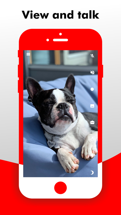 Camy — Live Video Monitoring screenshot 2