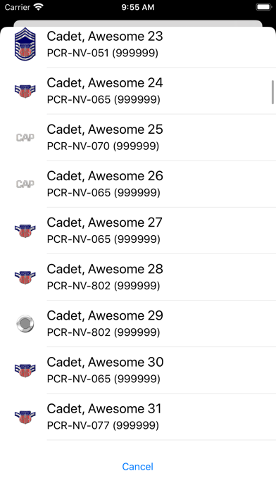 CAP Cadet Promotions screenshot 1
