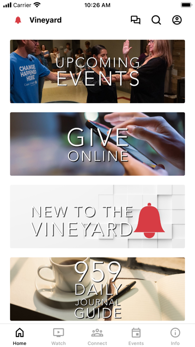 Cape Vineyard screenshot 5