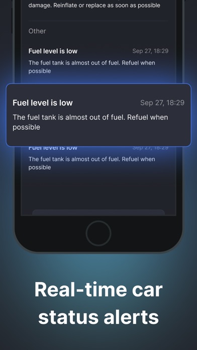 Car Play Connect, Sync & Cast screenshot 2