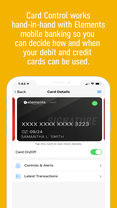 Card Controls by Elements screenshot 2
