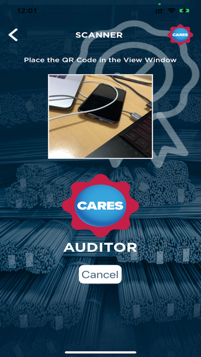 CARES Auditor screenshot 2