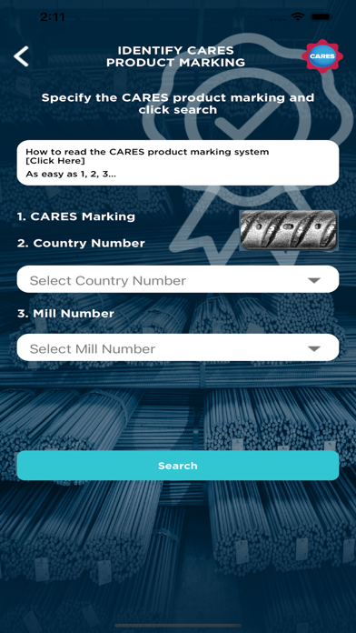 CARES Auditor screenshot 1