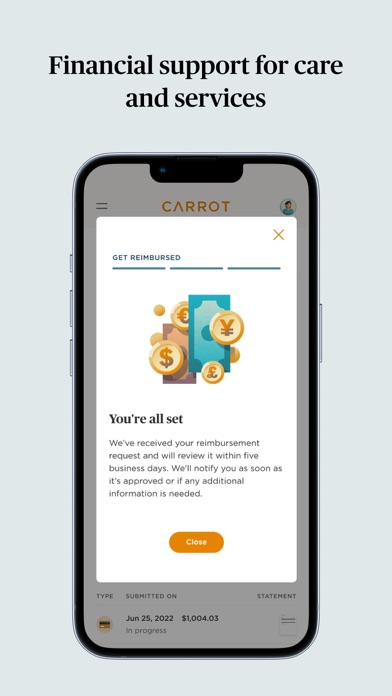 Carrot Fertility screenshot 4