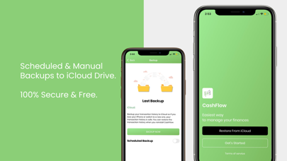 CashFlow Finance Manager screenshot 2