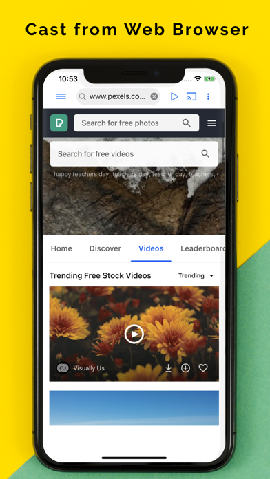 Castify: Cast Web Videos to TV screenshot 2