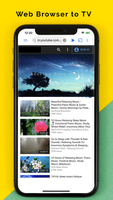 Castify: Cast Web Videos to TV screenshot 3
