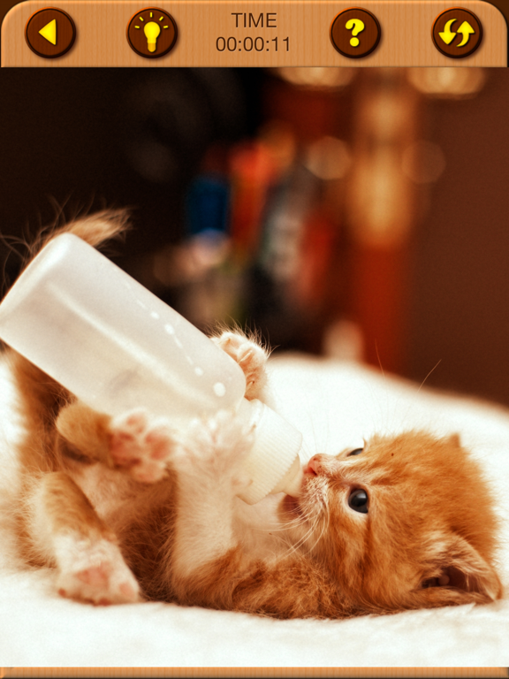 Cat Kitten Jigsaw Puzzle Games screenshot 6
