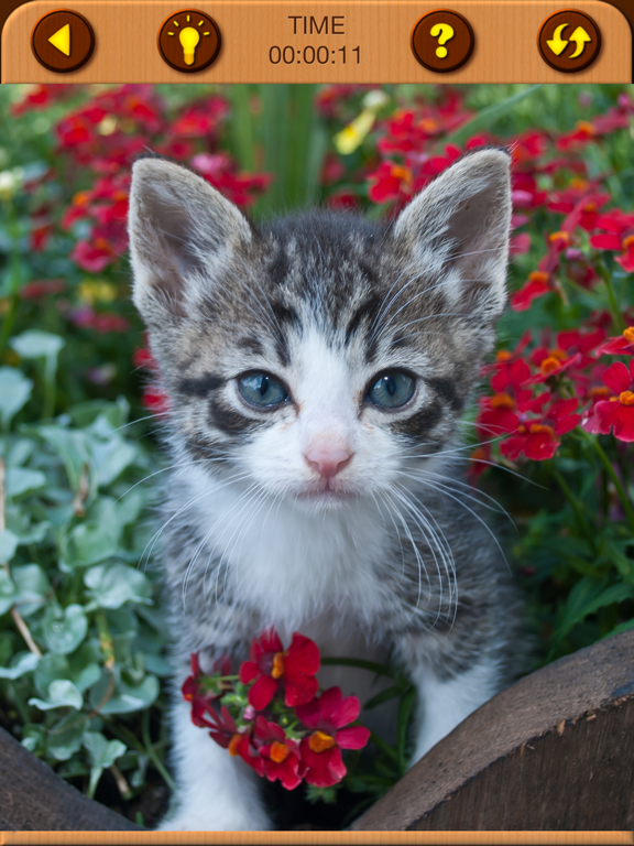 Cat Kitten Jigsaw Puzzle Games screenshot 1