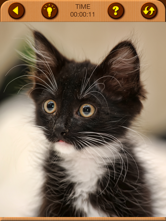 Cat Kitten Jigsaw Puzzle Games screenshot 2