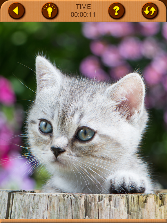 Cat Kitten Jigsaw Puzzle Games screenshot 3