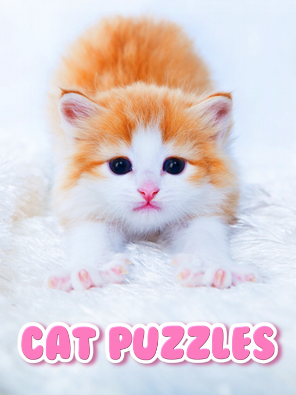 Cat Kitten Jigsaw Puzzle Games screenshot 10