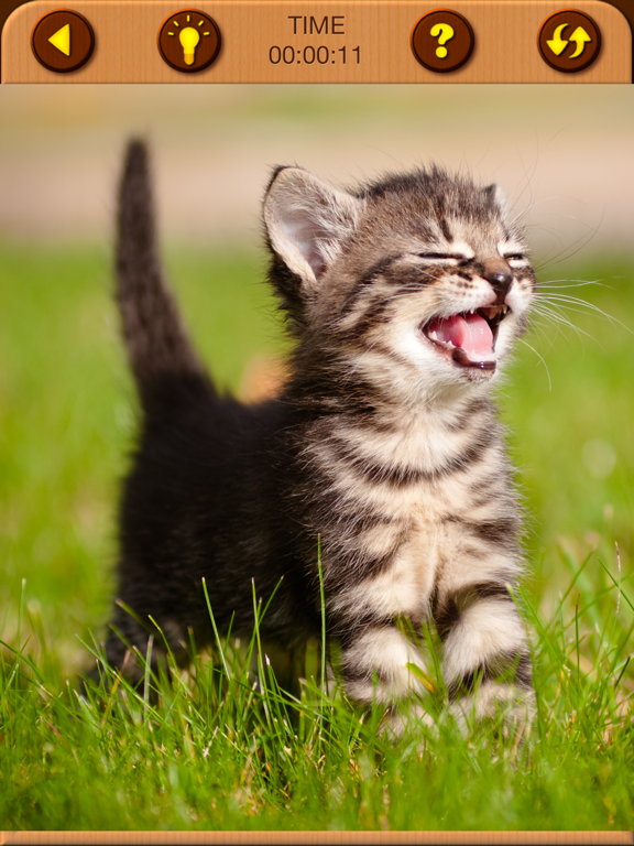 Cat Kitten Jigsaw Puzzle Games screenshot 5