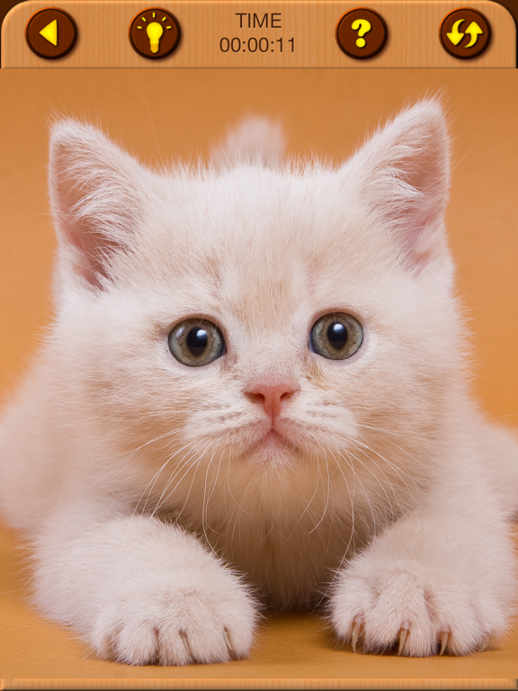 Cat Kitten Jigsaw Puzzle Games screenshot 4