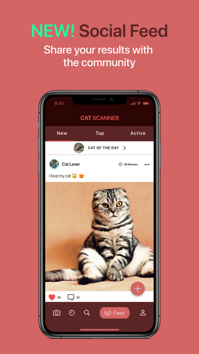 Cat Scanner screenshot 7