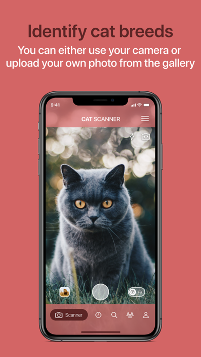 Cat Scanner screenshot 10