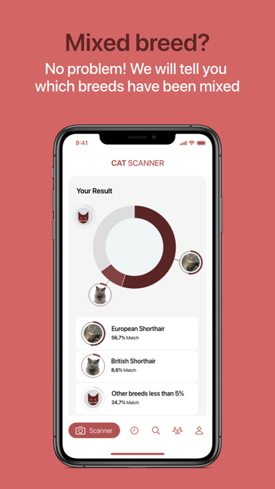 Cat Scanner screenshot 9
