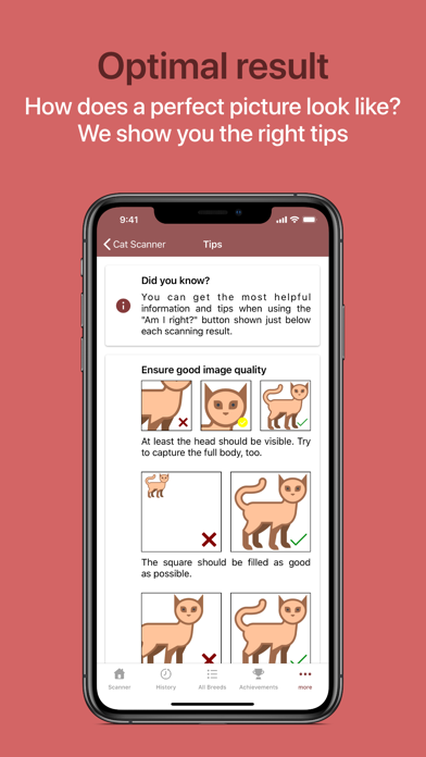 Cat Scanner screenshot 1