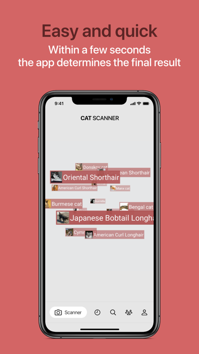 Cat Scanner screenshot 8