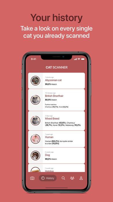 Cat Scanner screenshot 2