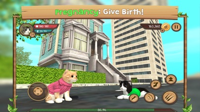 Cat Sim Online: Play With Cats screenshot 3