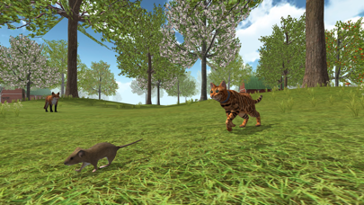 Cat Simulator 2020 screenshot 2