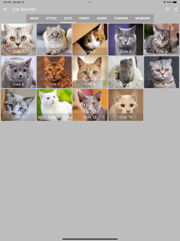 Cat Sounds - Meow Soundboard screenshot 7