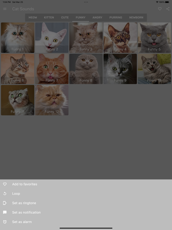 Cat Sounds - Meow Soundboard screenshot 6