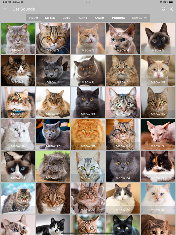 Cat Sounds - Meow Soundboard screenshot 8