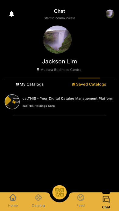 catTHIS screenshot 1