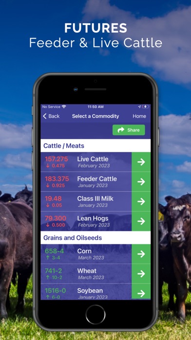 Cattle Market Mobile screenshot 1