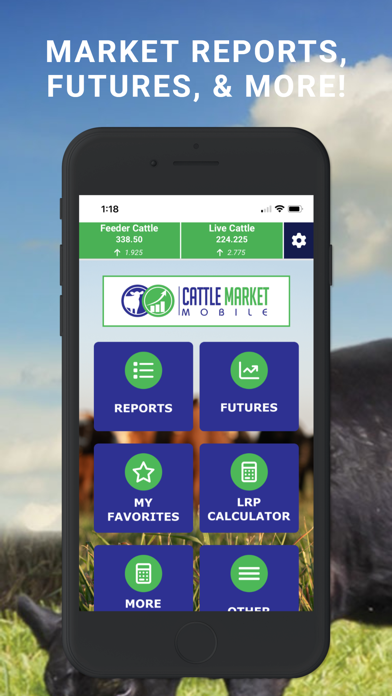 Cattle Market Mobile screenshot 3