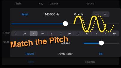 CC Flute screenshot 3