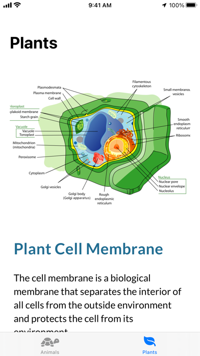 Cell Structure screenshot 2