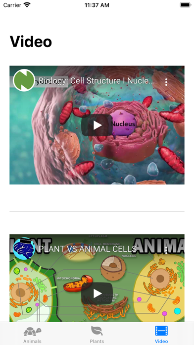 Cell Structure screenshot 1