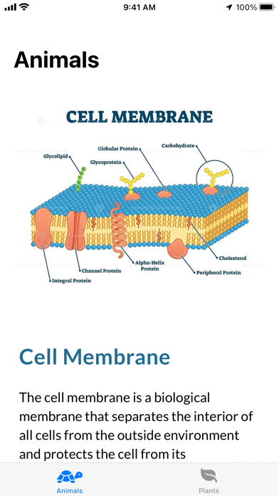Cell Structure screenshot 3