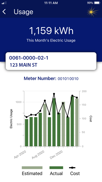Central Hudson Mobile screenshot 3