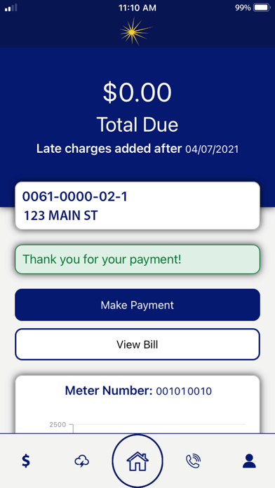 Central Hudson Mobile screenshot 4