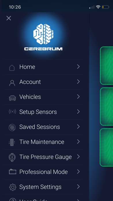 Cerebrum Tire Sensor screenshot 7