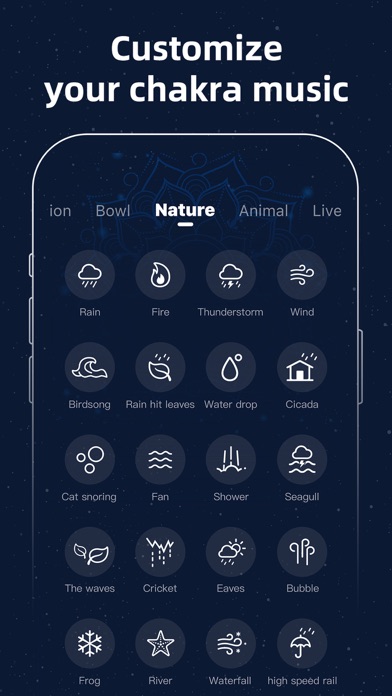 Chakra Meditation Reiki Guided screenshot 3