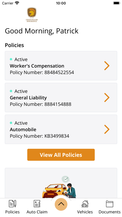 Chancellor Ins Agency Online screenshot 4