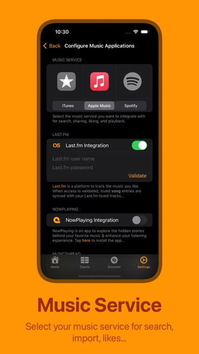 Chart Your Music screenshot 4
