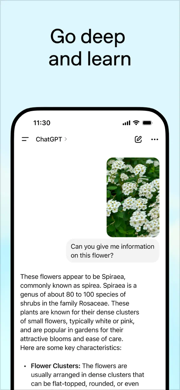 ChatGPT screenshot 1