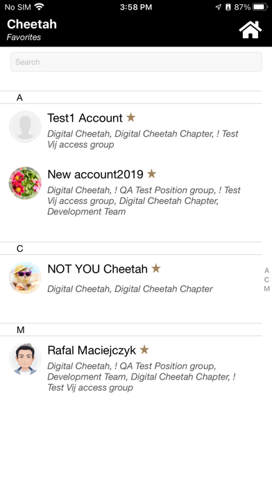 Cheetah screenshot 2